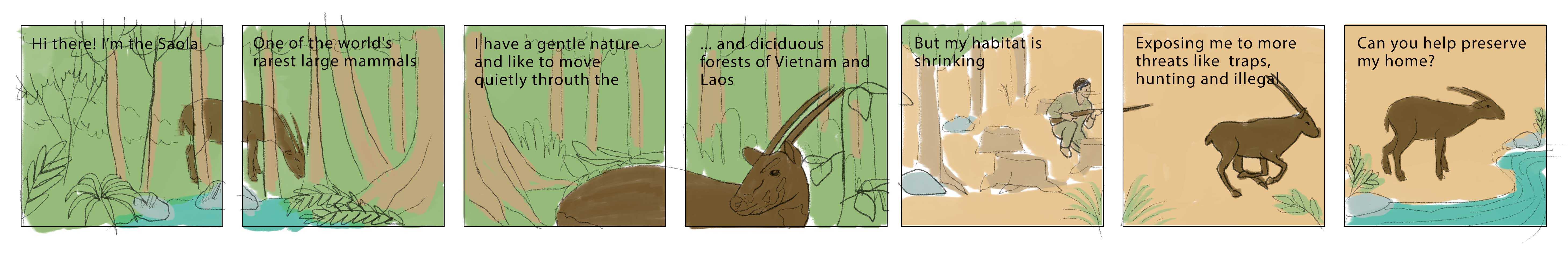 WAWA Saola Andreia Silva 3