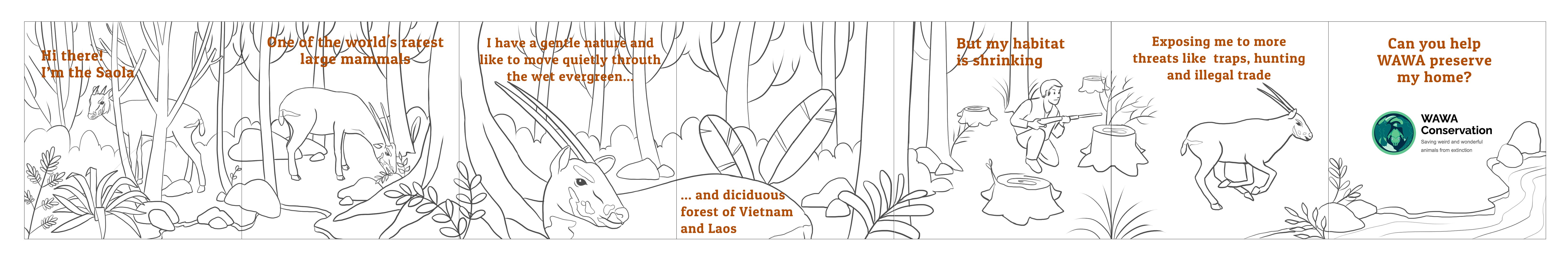 WAWA Saola Andreia Silva 4