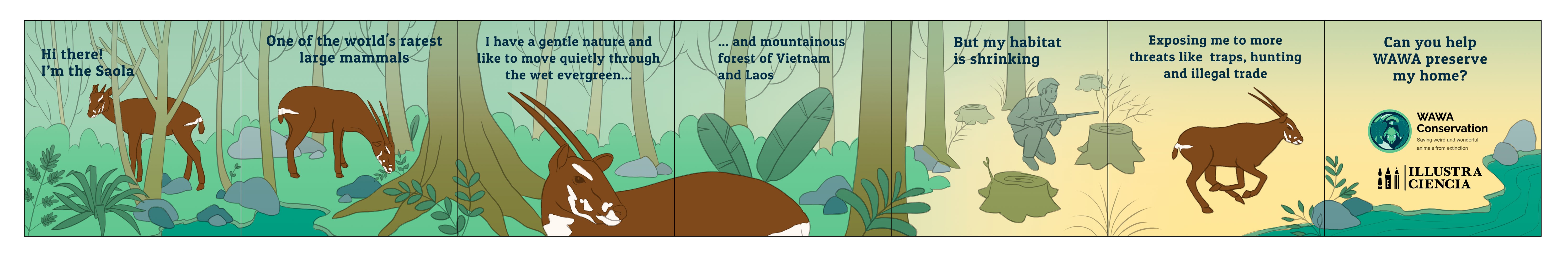 WAWA Saola Andreia Silva 5