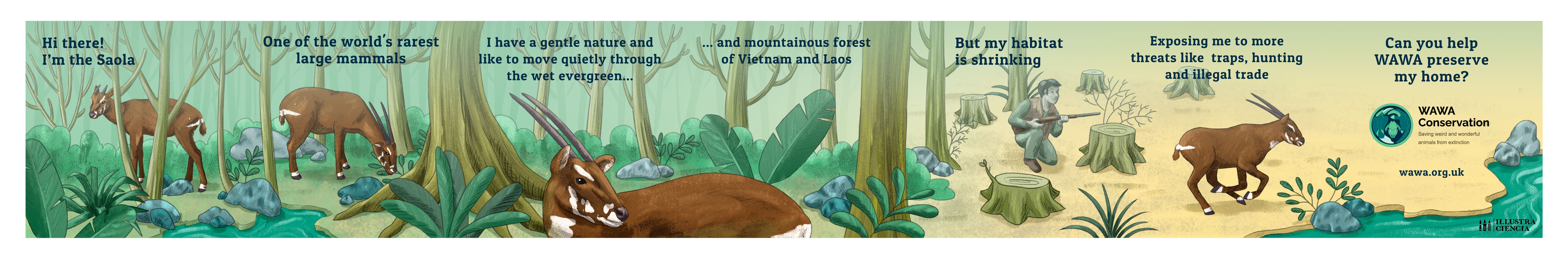 WAWA Saola Andreia Silva 6